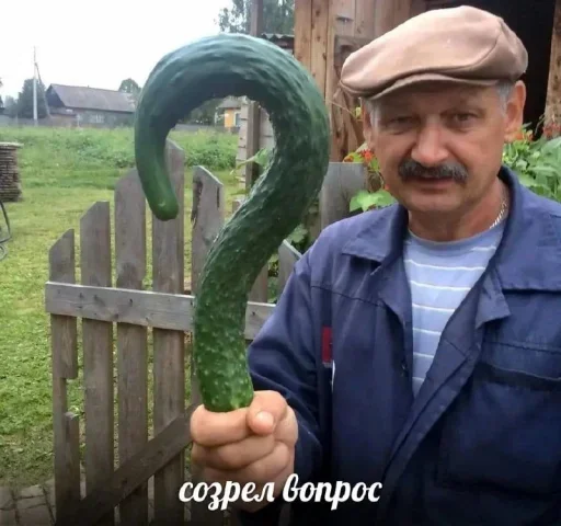 Стикер ❓ из набора Omg Stories