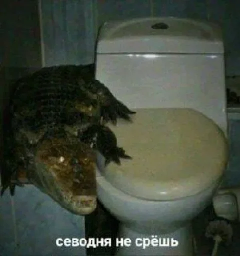Стикер ⭕ из набора Omg Stories