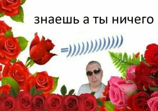 Стикер 🌹 из набора Omg Stories