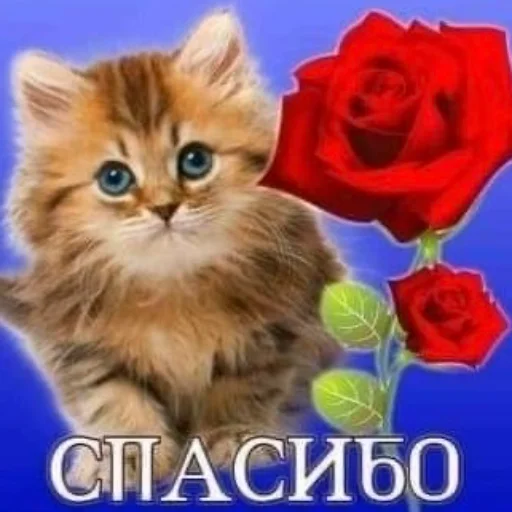 Стикер ❤️ из набора Открыточки из 10-х