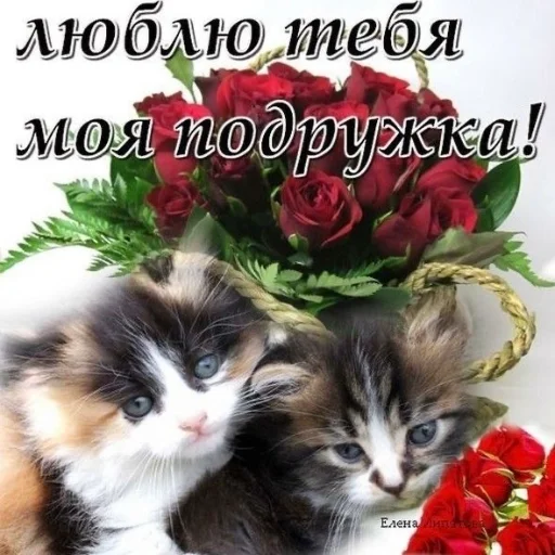 Стикер ❤️ из набора Открыточки из 10-х