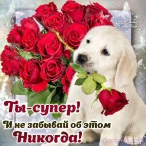Стикер ❤️ из набора Открыточки из 10-х