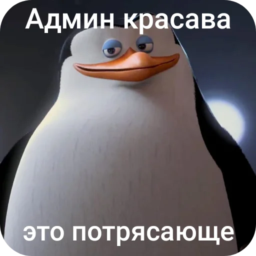 Пингвины и хентай