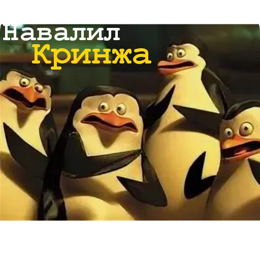 Стикер 🤢 из набора Пингвины и хентай