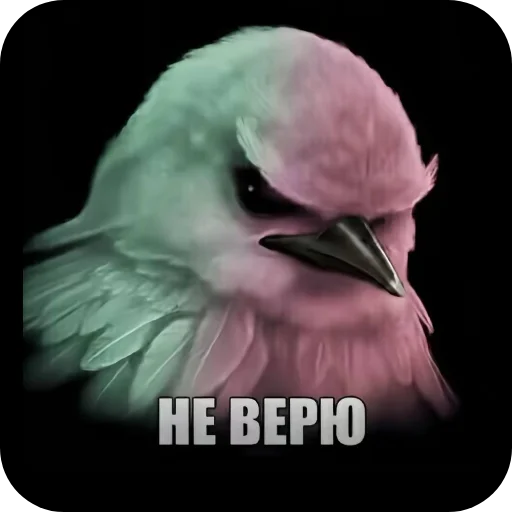 Птички