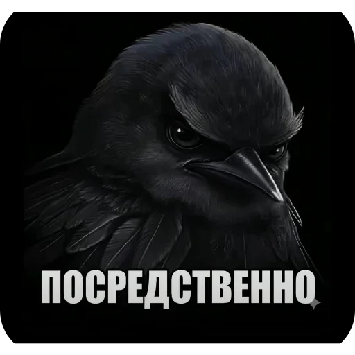 Птички
