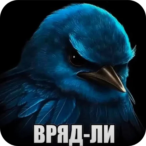 Птички