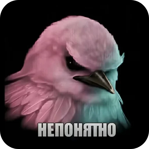 Стикер 🐦 из набора Птички