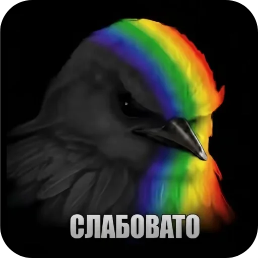 Стикер 🐦 из набора Птички