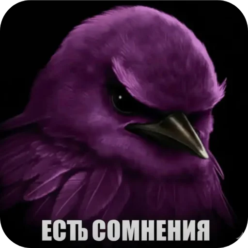 Стикер 🌸 из набора Птички