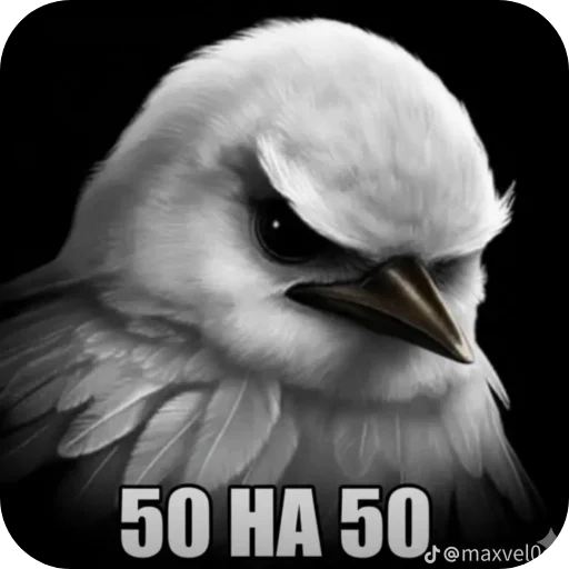 Стикер 🐦 из набора Птички