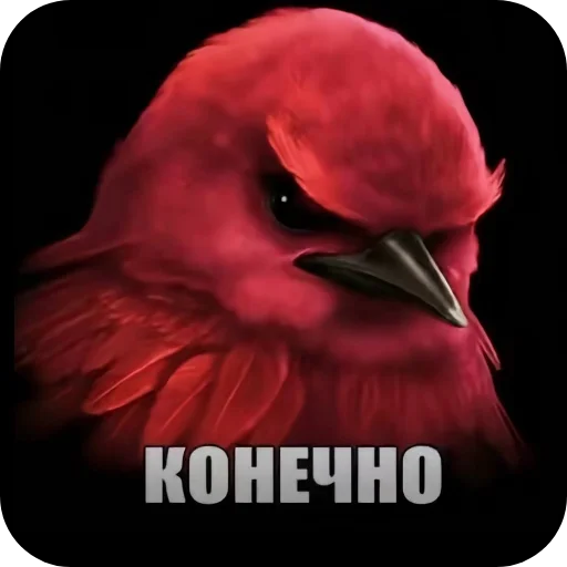 Стикер 🐦 из набора Птички