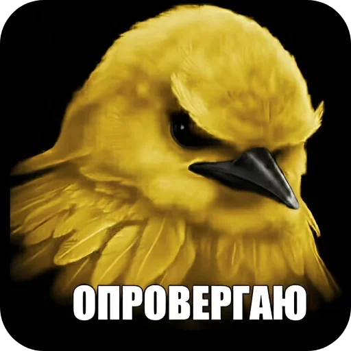 Стикер 🐦 из набора Птички