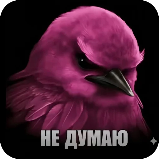 Стикер 🌸 из набора Птички