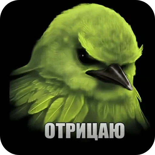 Стикер 🐦 из набора Птички