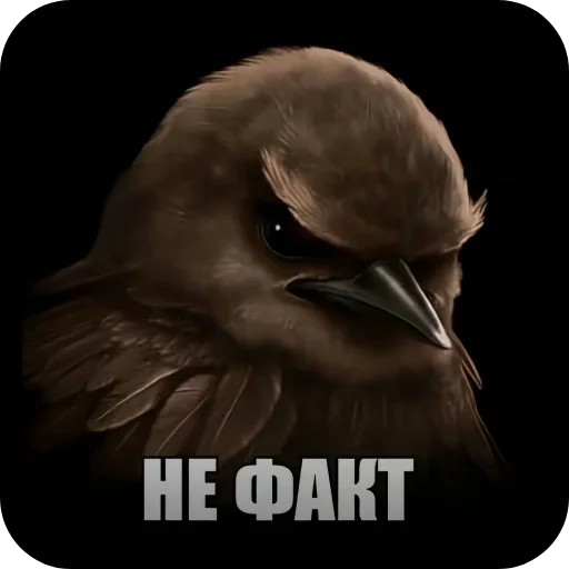 Стикер 🐦 из набора Птички