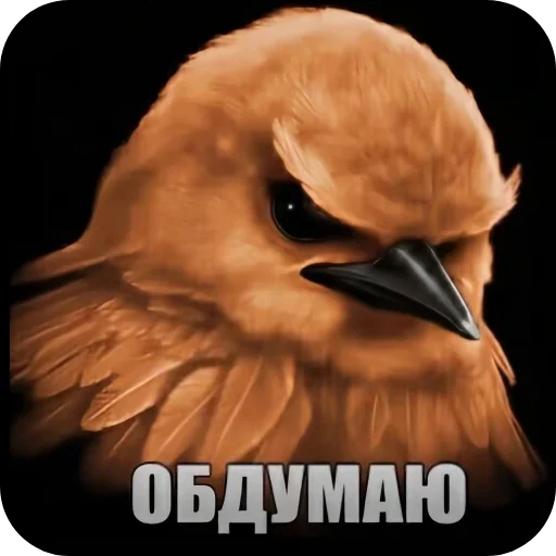Стикер 🐦 из набора Птички