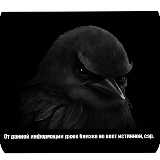 Стикер 🐦 из набора Птички