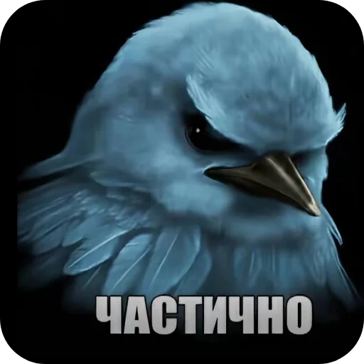 Стикер 🐦 из набора Птички