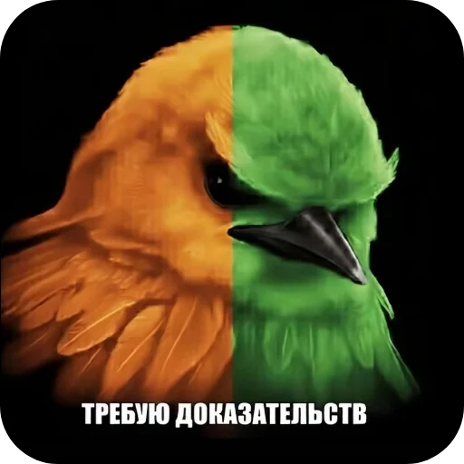 Стикер 🐦 из набора Птички