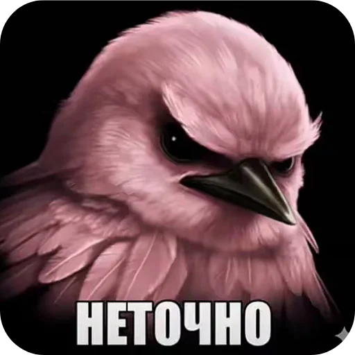 Стикер 🐦 из набора Птички