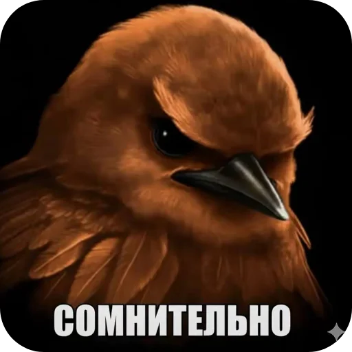 Стикер 🐦 из набора Птички