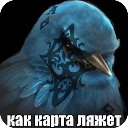 Стикер 👍 из набора Птички