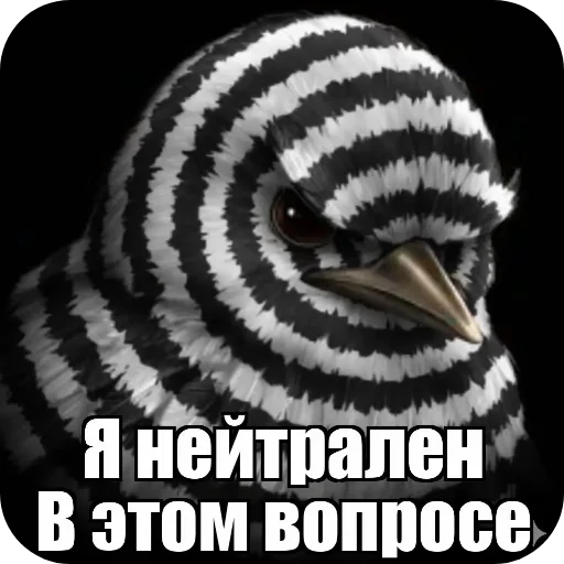 Стикер 🐦 из набора Птички