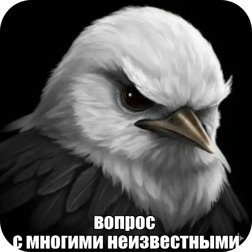 Стикер 🐦 из набора Птички