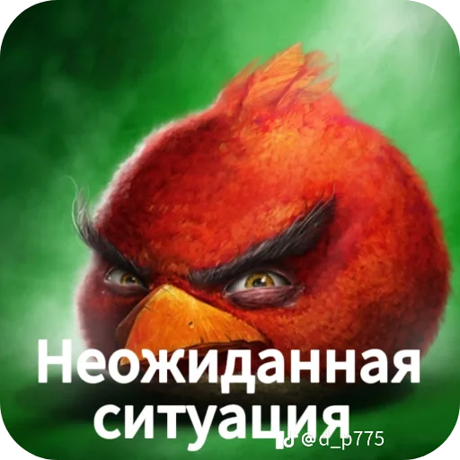 Птички