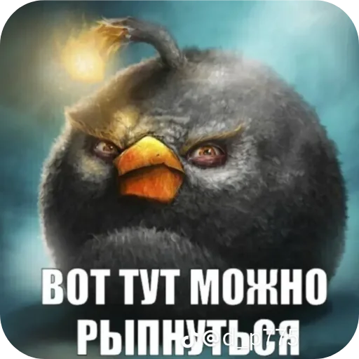 Птички