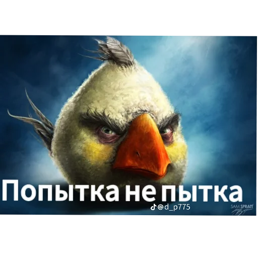 Стикер 🖼 из набора Птички