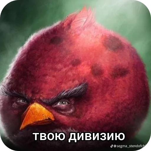 Стикер 🎩 из набора Птички