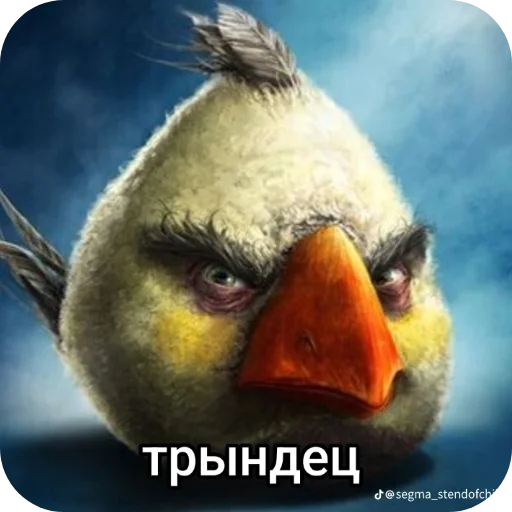 Стикер 🖼 из набора Птички