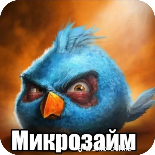 Стикер 🐦 из набора Птички
