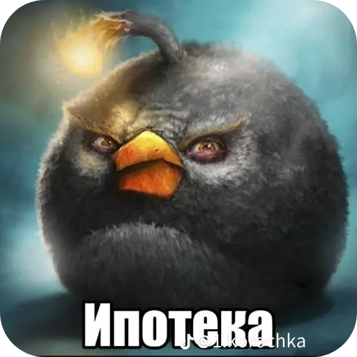 Стикер 🧢 из набора Птички