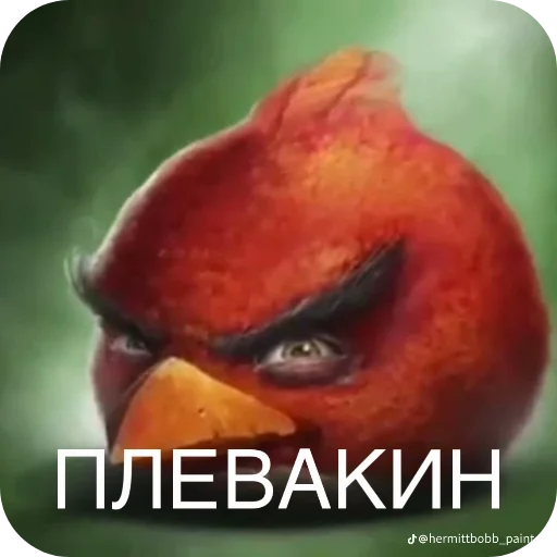 Стикер 🖼 из набора Птички
