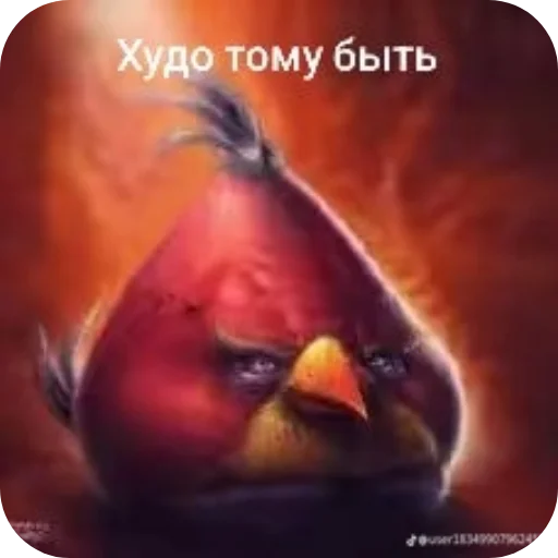Стикер 👍 из набора Птички