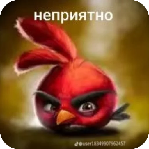 Стикер 🔳 из набора Птички