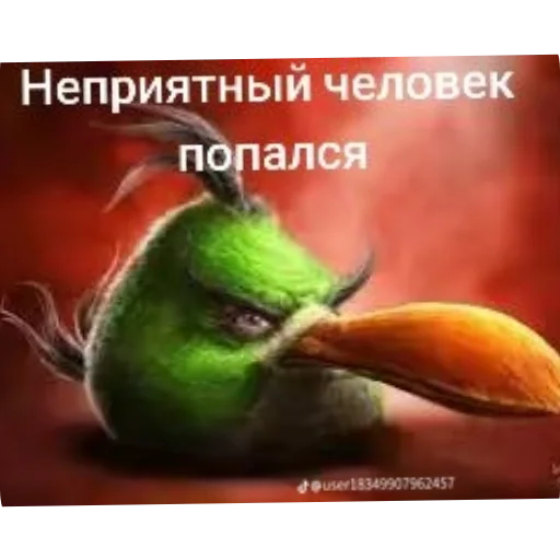 Стикер 🖼 из набора Птички