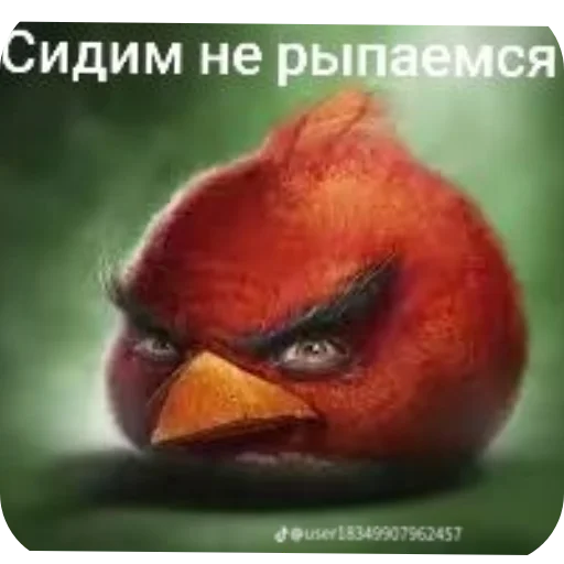 Стикер 👍 из набора Птички