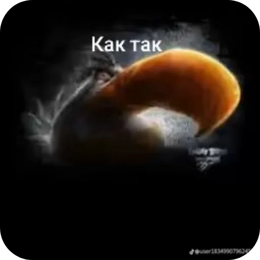Стикер 👍 из набора Птички