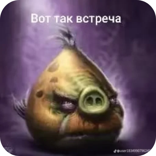 Стикер 👍 из набора Птички
