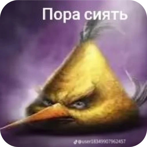 Стикер 👍 из набора Птички