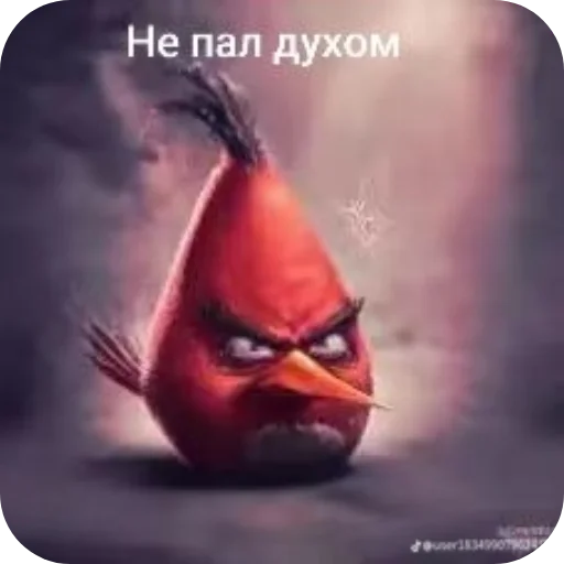 Стикер 👟 из набора Птички