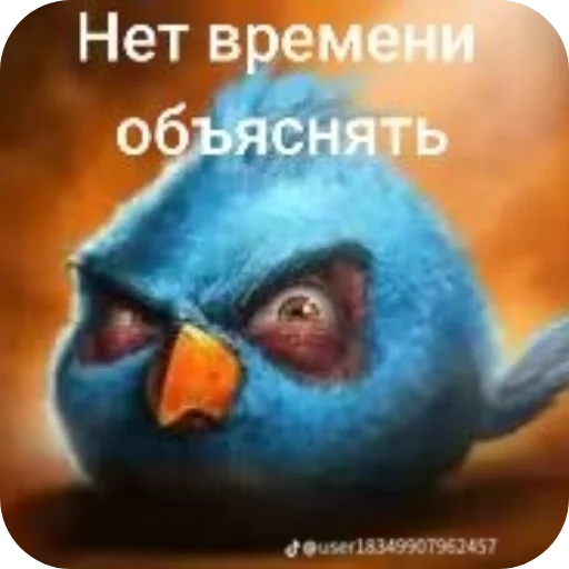 Стикер 🖼 из набора Птички