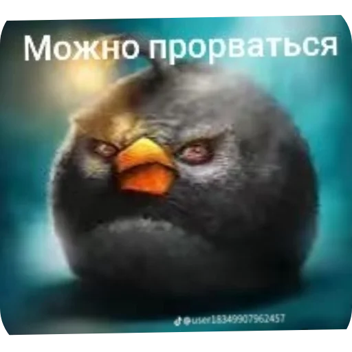 Стикер 👍 из набора Птички