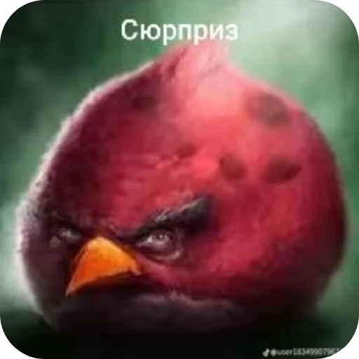 Стикер 🎩 из набора Птички