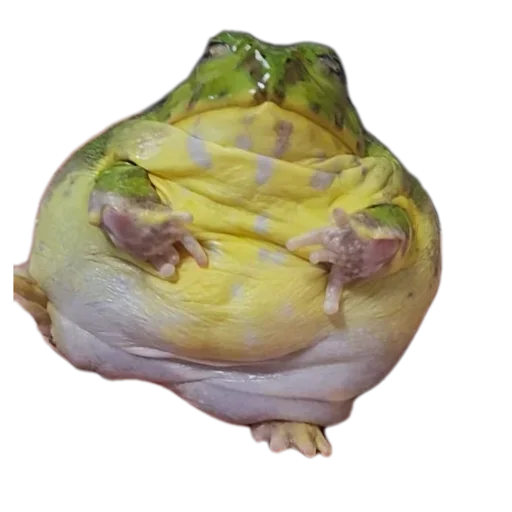 Стикер 🍲 из набора 's jaba criminals