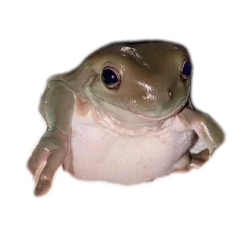 Стикер 🐦 из набора 's jaba criminals